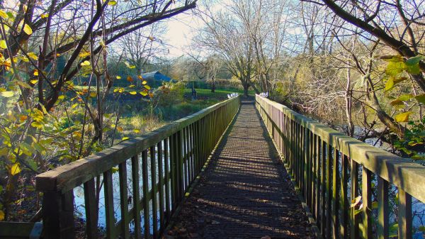 A wooden bridge across Capstone Lake